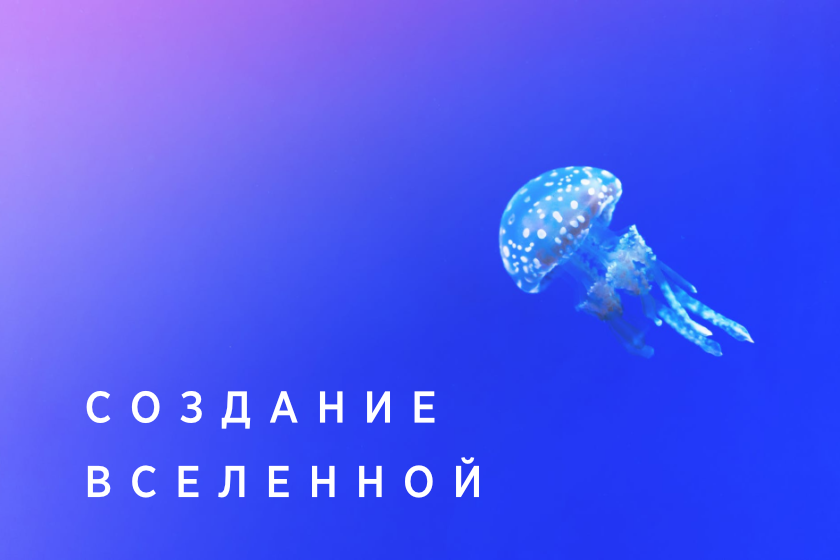 Медуза с надписью создание вселенной